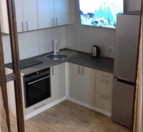 Photo 3. One-Room flat, to rent. Kyiv Дарницкий