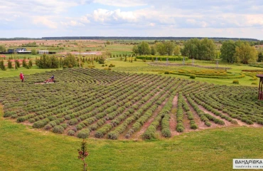 Фото Участок, продажа. Мотыжен