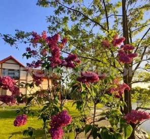 Photo 4. House, to rent. Hatne