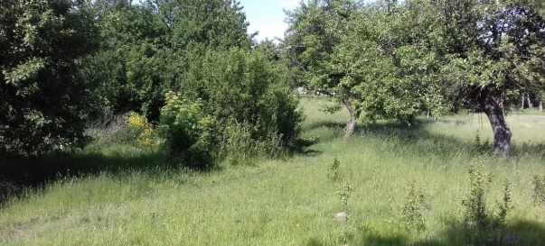 Foto 4. Terreno, en venta. Zhytomyr Передмістя