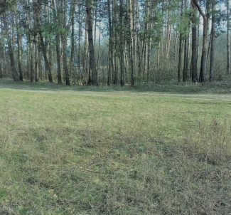 Фото 3. Ділянка, продаж. Житомир Передмістя