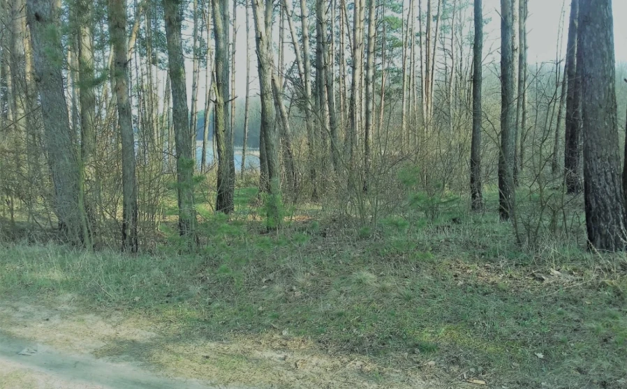 Фото 1. Ділянка, продаж. Житомир Передмістя
