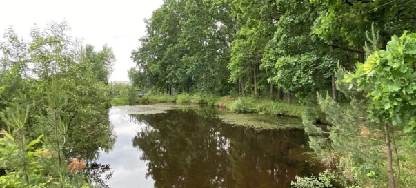 Photo 1. Lot, for sale. Zhytomyr Передмістя