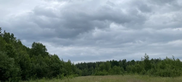 Photo 4. Lot, for sale. Zhytomyr Передмістя