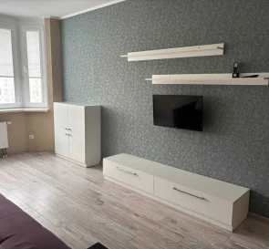 Photo 3. One-Room flat, to rent. Kyiv Дарницкий