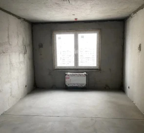 Photo 3. One-Room flat, for sale. Kyiv Голосеевский