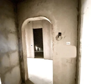 Photo 4. One-Room flat, for sale. Kyiv Голосеевский