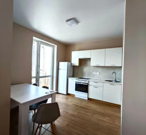 Photo 4. One-Room flat, to rent. Kyiv Дарницкий