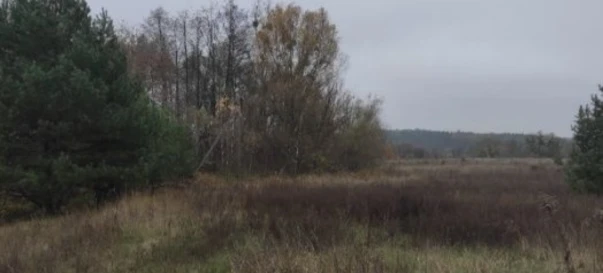 Photo 2. Lot, for sale. Zhytomyr Передмістя