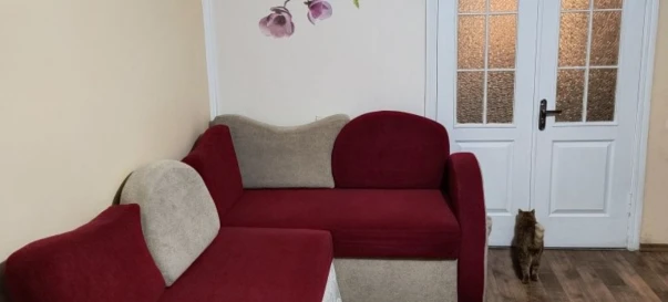Фото 2. Двокімнатна квартира, продаж. Житомир Богунія