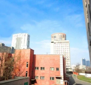 Фото 2. Однокімнатна квартира, продаж. Київ Печерский , Кловська