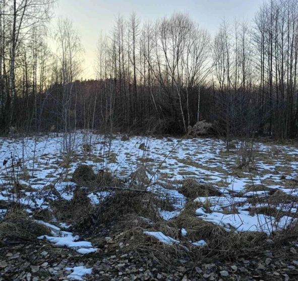 Photo 2. Lot, for sale. Zhytomyr Передмістя