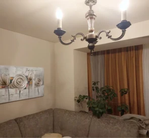 Фото 2. Однокімнатна квартира, продаж. Терешки