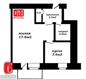 Фото 2. Однокомнатная квартира, продажа. Молодечно