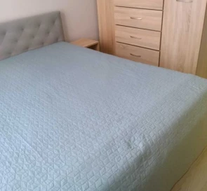 Photo 5. One-Room flat, to rent. Kyiv Дарницкий