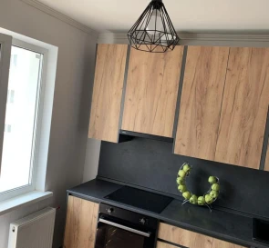 Photo 3. One-Room flat, to rent. Kyiv Дарницкий