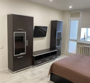 Photo 3. One-Room flat, to rent. Kyiv Дарницкий