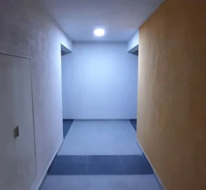 Photo 2. One-Room flat, for sale. Kyiv Голосеевский