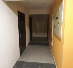 Photo 4. One-Room flat, for sale. Kyiv Голосеевский