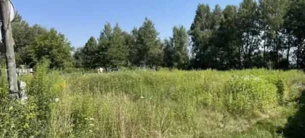 Photo 4. Lot, for sale. Zhytomyr Крошня