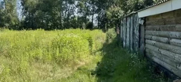 Photo 3. Lot, for sale. Zhytomyr Крошня