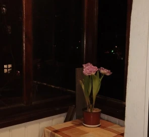Фото 4. Однокімнатна квартира, продаж. Полтава Киевский