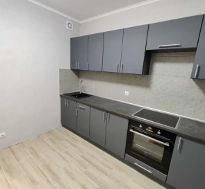 Photo 3. One-Room flat, to rent. Kyiv Дарницкий