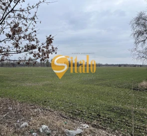Photo 2. Lot, for sale. Ivankovychi