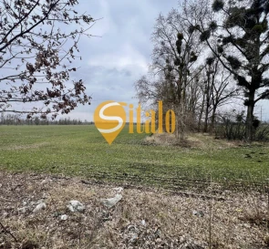Photo 5. Lot, for sale. Ivankovychi