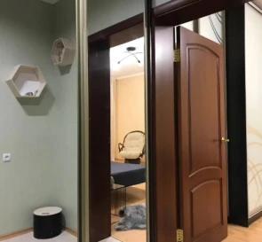 Photo 4. One-Room flat, to rent. Kyiv Дарницкий
