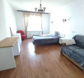 Photo 3. One-Room flat, to rent. Kyiv Дарницкий