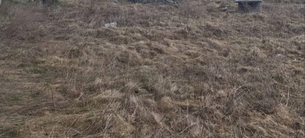 Photo 1. Lot, for sale. Zhytomyr Передмістя