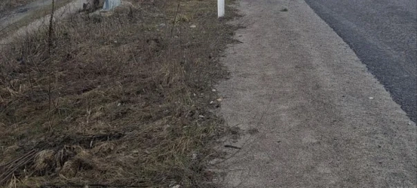 Photo 2. Lot, for sale. Zhytomyr Передмістя