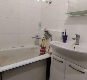 Photo 4. One-Room flat, for sale. Kyiv Голосеевский, Teremky