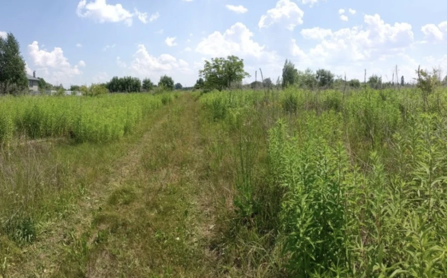 Photo 1. Lot, for sale. Zhytomyr Крошня