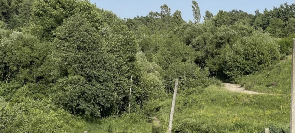 Photo 3. Lot, for sale. Zhytomyr Максютова