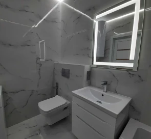 Photo 5. One-Room flat, to rent. Kyiv Дарницкий