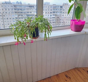 Photo 5. One-Room flat, for sale. Kyiv Деснянский район, Lisova