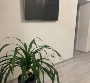 Фото 5. Трехкомнатная квартира, продажа. Полтава Подольский