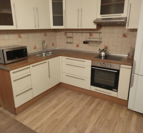 Foto 4. Monoambiente piso, para alquilar. Kyiv Дарницкий