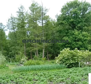 Фото 3. Будинок, продаж. Проців