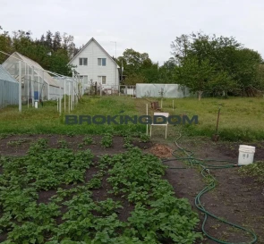 Фото 4. Будинок, продаж. Проців