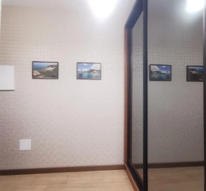 Photo 2. One-Room flat, to rent. Kyiv Дарницкий