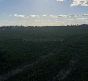 Фото 5. Ділянка, продаж. Петропавлівська Борщагівка