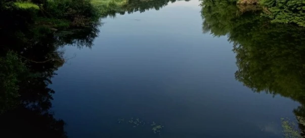 Фото 1. Дом, продажа. Житомир Передмістя
