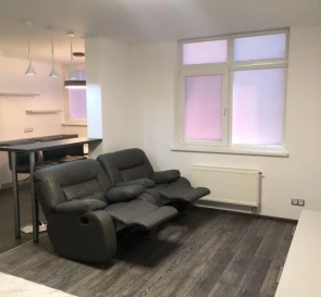 Photo 3. One-Room flat, to rent. Kyiv Дарницкий