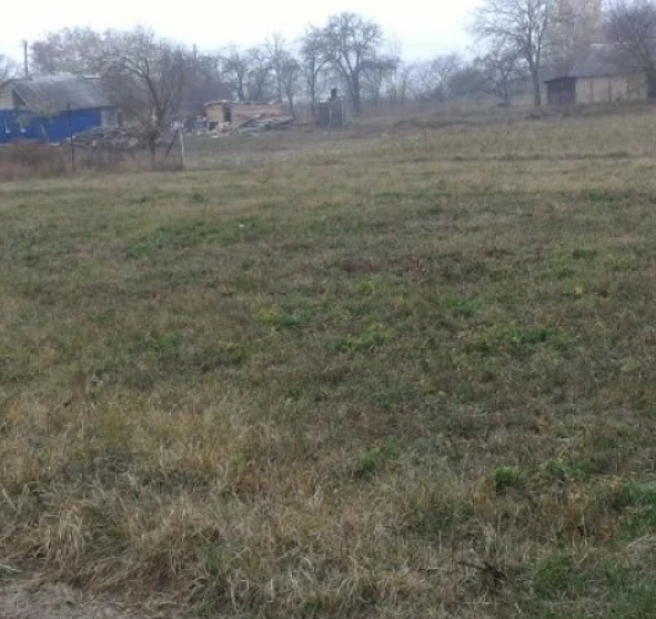 Фото 2. Участок, продажа. Житомир Передмістя