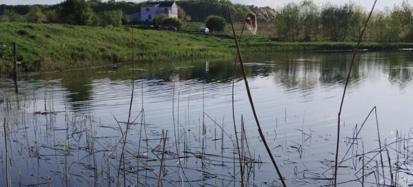 Photo 4. Lot, for sale. Zhytomyr Передмістя