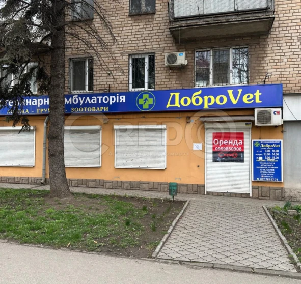Фото 1. Комерційна, оренда. Кривий Ріг Центрально-Міський