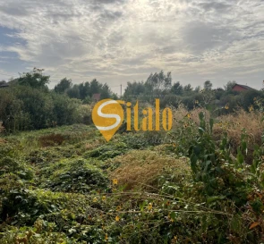 Фото 5. Ділянка, продаж. Київ Дарницкий